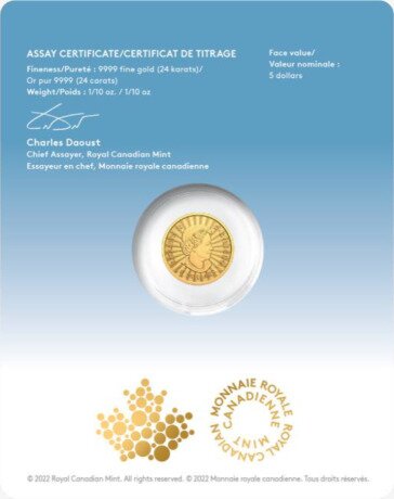 1/10 oz Majestic Polar Bear Gold Coin | 2022