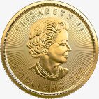 1/10 oz moneta d'oro Maple Leaf (2021)
