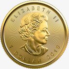 Золотая монета Канадский кленовый лист 1/20 унции 2019 (Gold Maple Leaf)