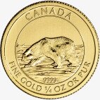 1/4 oz Moneta d'oro Orso Polare (2013)