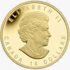 1/4 oz Moneta d'oro Guerra del 1812 (2012)
