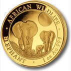 Золотая монета Африканская Дикая Природа Сомалийский Слон 1 унция 2014