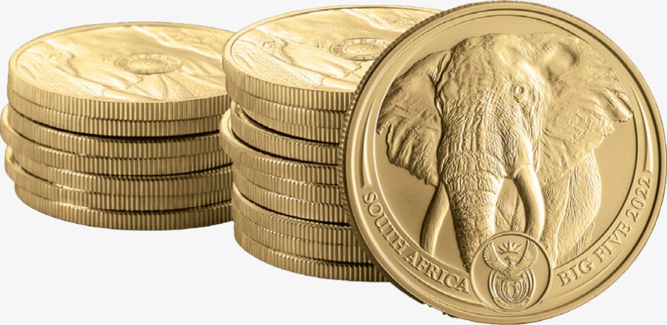 1 oz Big 5 Elefante Moneda de Oro | 2022