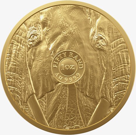1 oz Wielka Piątka Afryki Słoń Złota Moneta | 2023