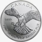 Серебряная монета Сапсан 1 унция 2014 Хищные Птицы (Peregrine Falcon - Birds of Prey)