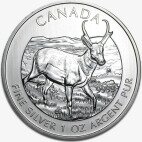 Серебряная монета Антилопа 1 унция 2013 Дикая Природа Канады (Antelope Wildlife)