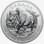 1 oz Canadian Bison Wildlife Series | Silver | 2013