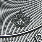 Серебряная монета Хищник Канады Пантера 1 унция 2016 999.9 (Cougar Pure Silver 999.9)