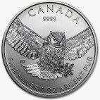 Серебряная монета Большая Рогатая Сова 1 унция 2015 (Great Horned Owl - Birds of Prey)