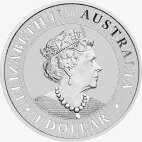 Серебряная монета Наггет Кенгуру 1 унция 2019 (Nugget Kangaroo)