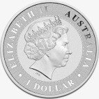 Серебряная монета Наггет Кенгуру (Nugget Kangaroo) 1 унция разных лет