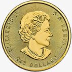 1 oz Klondike Gold Rush Panning for Gold .99999 Goldmünze (2021)