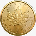 1 oz moneta d'oro Maple Leaf (2020)
