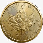1 Uncja Liść Klonowy Złota Moneta | Pojedyncze źródło | 2022