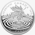 Канадский кленовый лист 1 унция 2015 Серебряная монета (Maple Leaf Reflection)