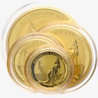 Золотая монета Наггет Кенгуру 1 унция 2016 (Nugget Kangaroo)