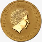 Золотая монета Наггет Кенгуру 1 унция 2017 (Nugget Kangaroo)