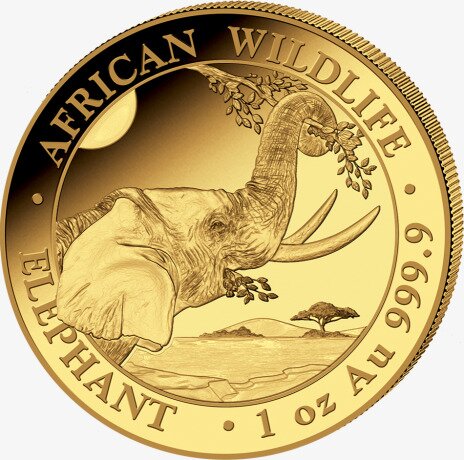1 oz Słoń Somalijski Złota Moneta | 2023