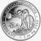 1 oz Elefante della Somalia | Argento | 2016
