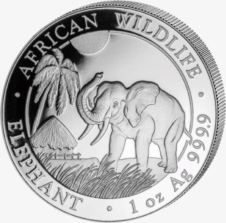 1 oz Elefante de Somalia | Plata | 2017