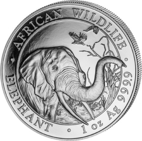1 oz Elefante de Somalia | Plata | 2018