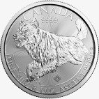 Серебряная монета Волк серии Хищники 1 унция 2018 (Wolf Predator Series)