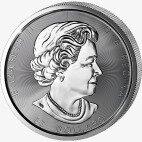 Серебряная монета Ревущий Гризли 10 унций 2017 (Grizzly)