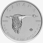 2 oz Canada Goose d'argento (2020)