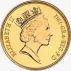 £5 Sterlina d'oro al Miglior prezzo