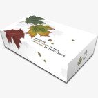 Maple Leaf Or | Set de 3 pièces | Alluring Maple Leaves of Fall | 2015