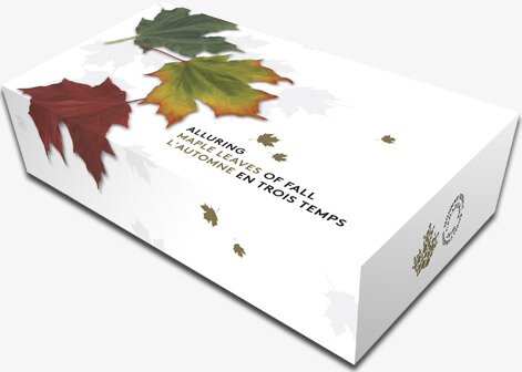 Gold Maple Leaf | 3 Münzset | Alluring Maple Leaves of Fall | 2015