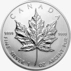 1 oz Maple Leaf | Plata | 2da Mano | años diversos