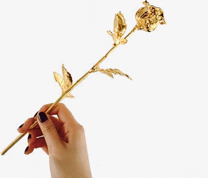 Echte Rose | 999/1000 Gold veredelt | 30cm